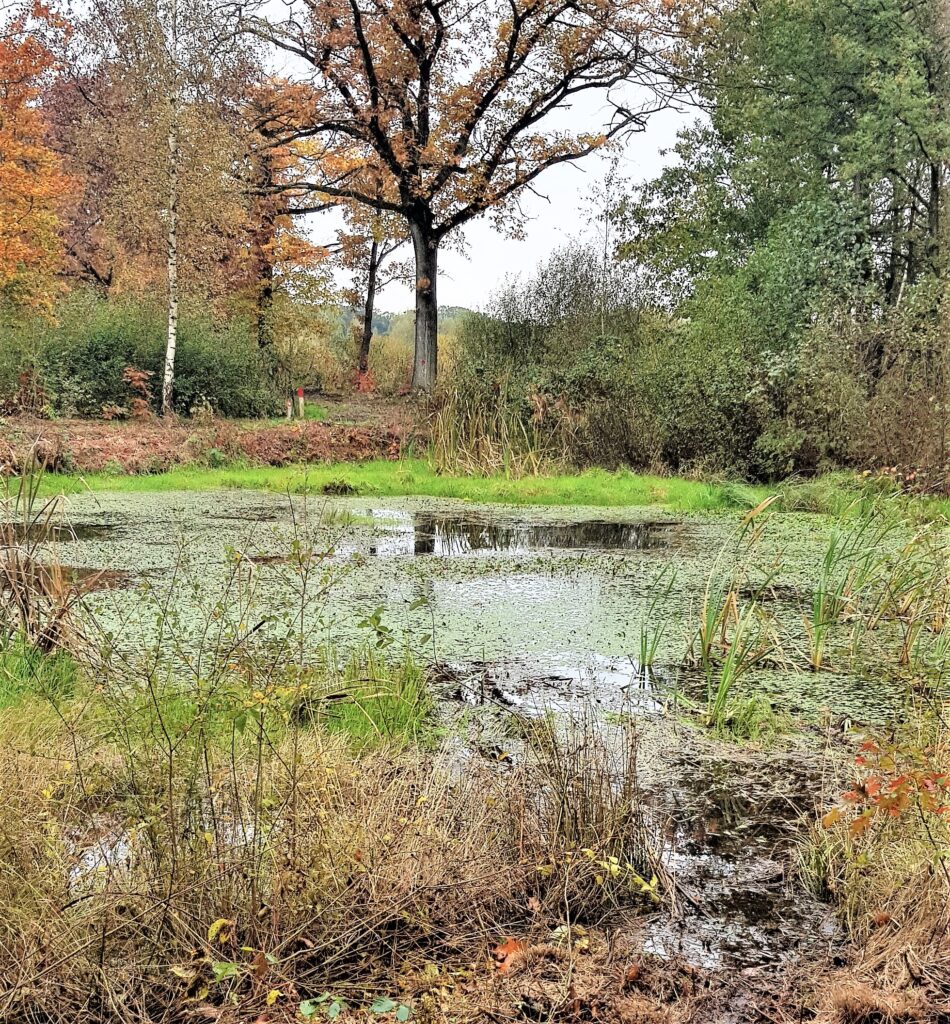 Landgoed De Hoevens