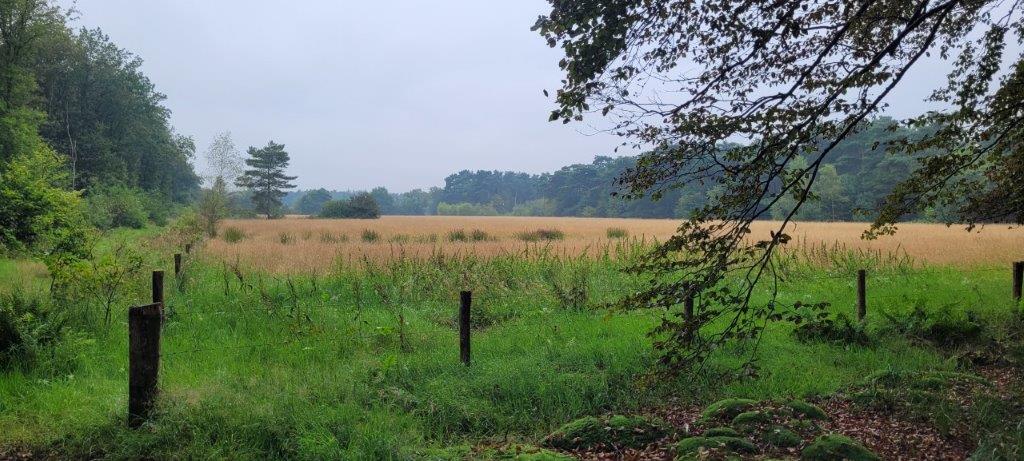 Strijbeekse Heide