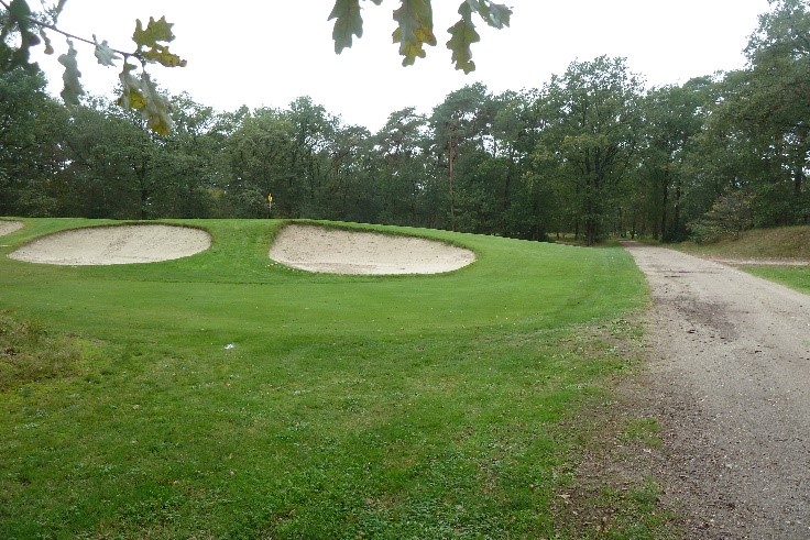 Boomkikkerpad Natuurgebied