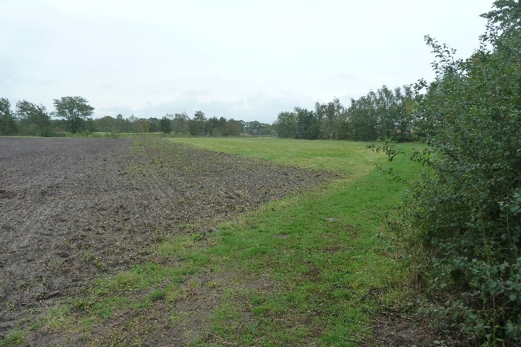 Boomkikkerpad Natuurgebied