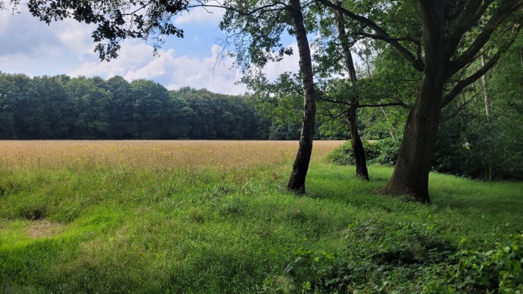 Krabbebossen Natuurgebied