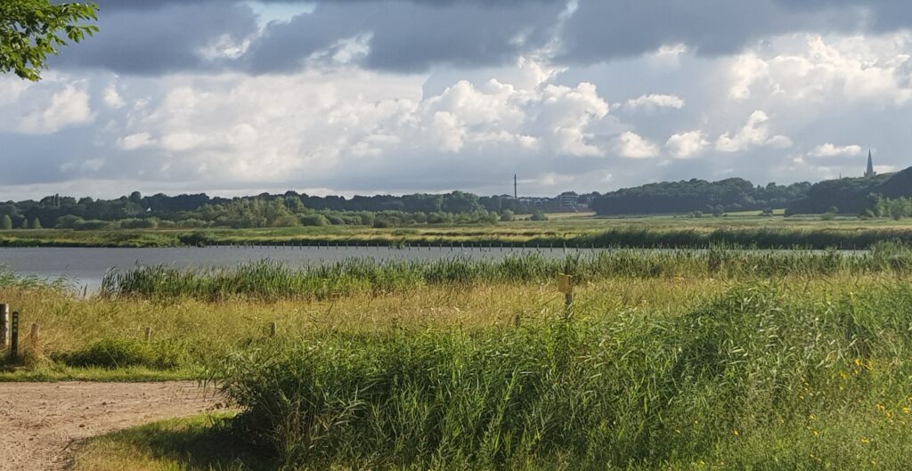 Noordpolder van ossendrecht Natuurgebied