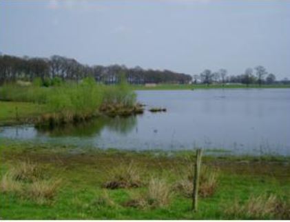 Bleeke Heide Natuurgebieden