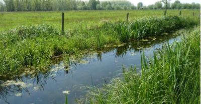 De Langstraat Natuurgebieden