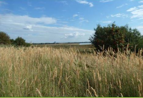 De Molenplaat Natuurgebieden