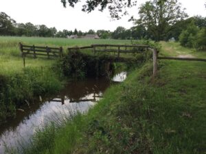 De Riggen natuurgebieden