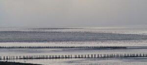 Utopia Texel, foto Marcel Huijgens,