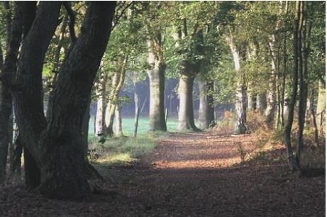 Eldersche Gronden Natuurgebieden