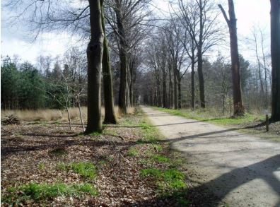 Elsakker Natuurgebieden