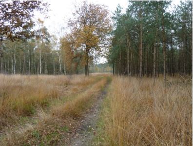 Elsakker Natuurgebieden