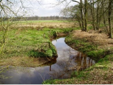 Elsakker Natuurgebieden