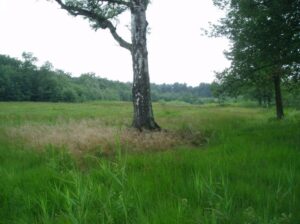 Gooren en Krochten Natuurgebieden