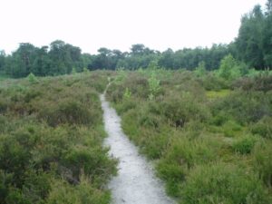 Gooren en Krochten Natuurgebieden