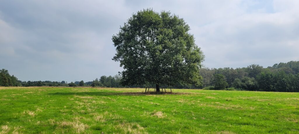 Halsters Laag Natuurgebieden