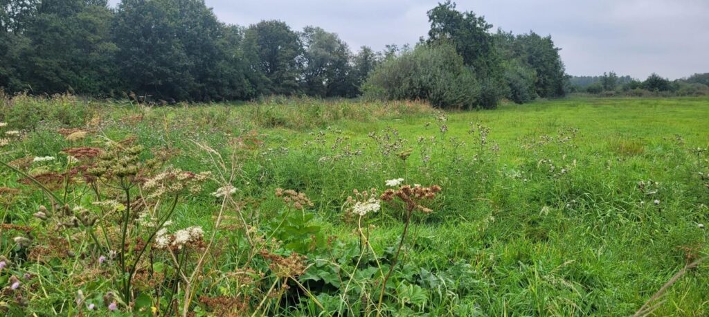 Halsters Laag Natuurgebieden