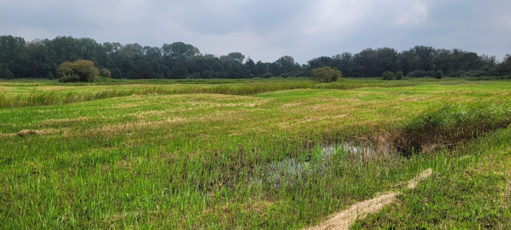 Halsters Laag Natuurgebieden