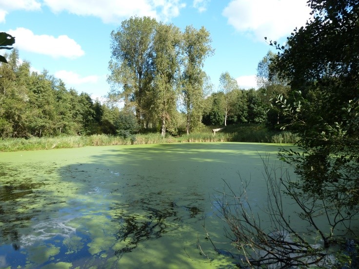 Hoevense Beemden Natuurgebied