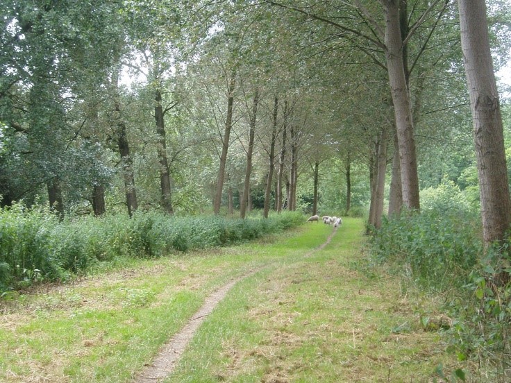 Hoevense Beemden Natuurgebied