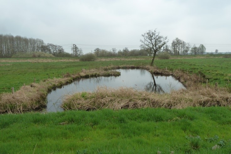 Hoevense Beemden Natuurgebied