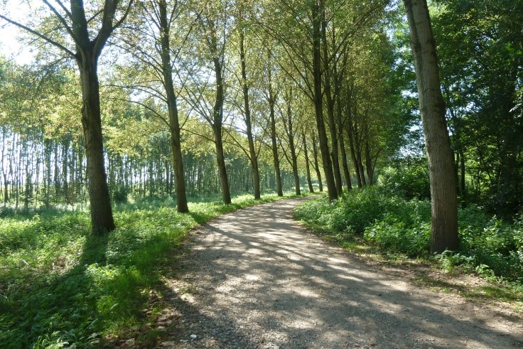 Hoevense Beemden Natuurgebied