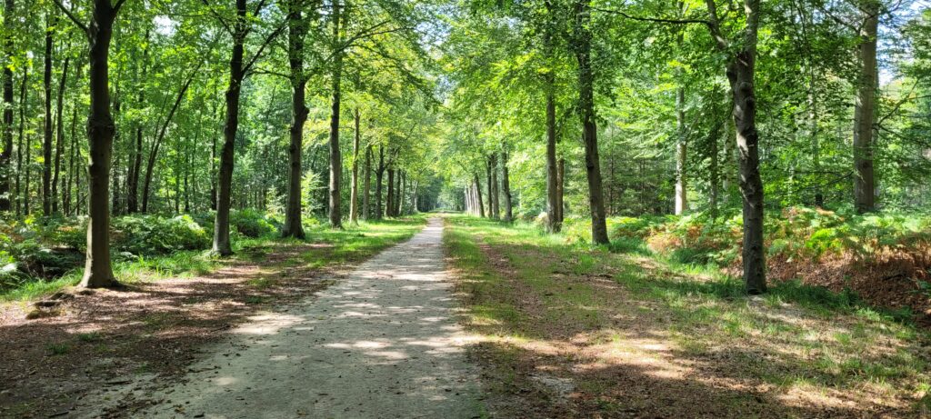 Liesbos Natuurgebieden