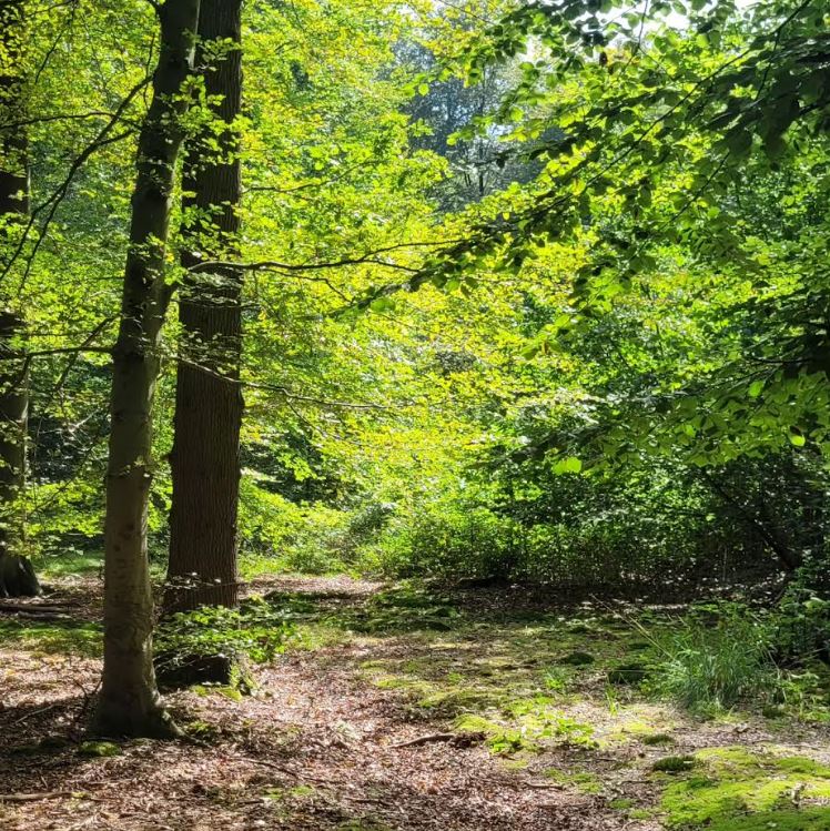 Liesbos Natuurgebieden