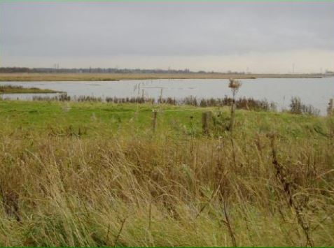 Markiezaat Kraaienberg Natuurgebied