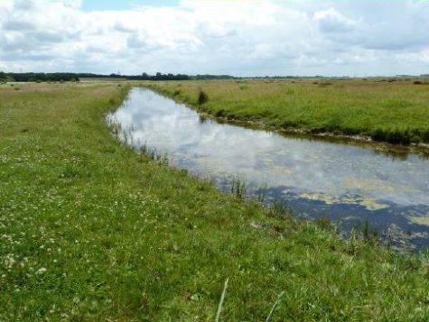 Markiezaat Kraaienberg Natuurgebied