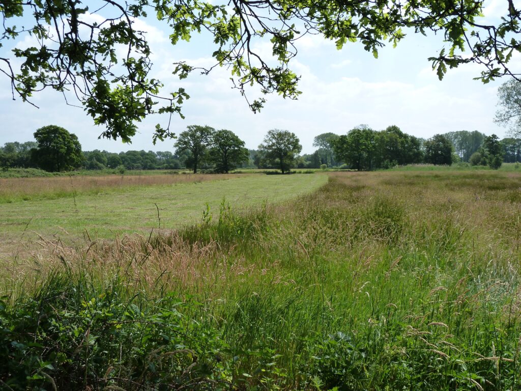 Merkske-Broskens Natuurgebied