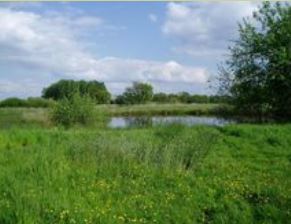 Merkske Zondereigen Natuurgebied