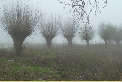 Pompveld natuurgebied