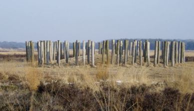 Regte Heide Natuurgebieden