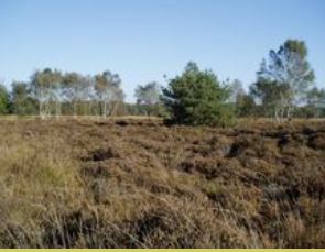 Regte Heide Natuurgebieden