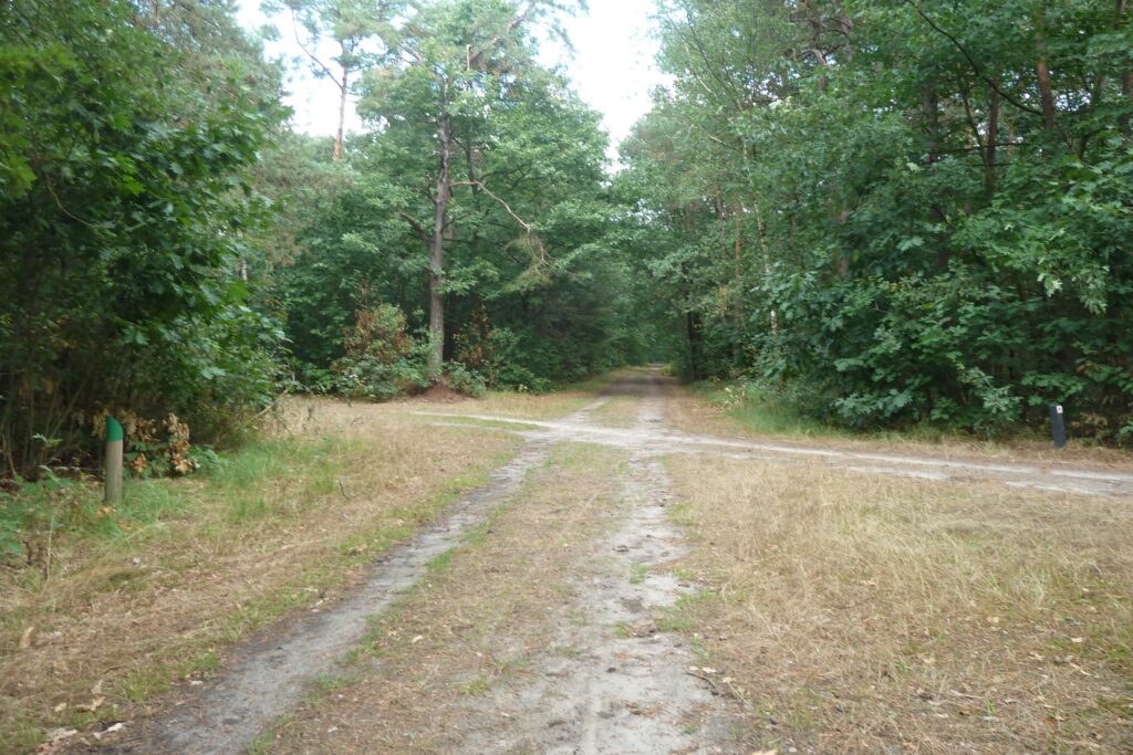 Rucphense Bossen Natuurgebied