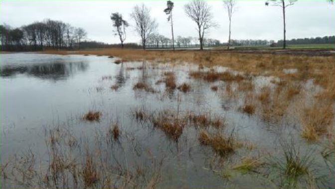 Visdonk Natuurgebieden