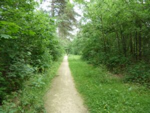 Vrachelse Heide Natuurgebieden