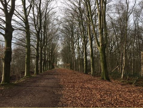 Leemputten Udenhout Natuurgebieden