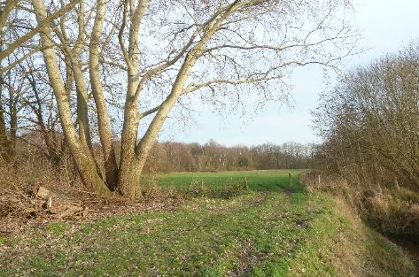 Leemputten Udenhout Natuurgebieden