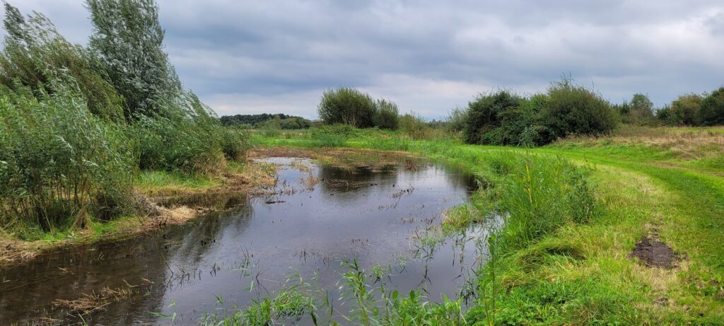 Gilzewouwerbeek, natuurgebieden