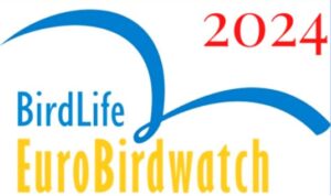 Bij bericht eurobirdwatch 2024