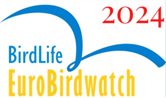 Bij bericht eurobirdwatch 2024