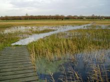 Natuurgebieden Gastels Laag