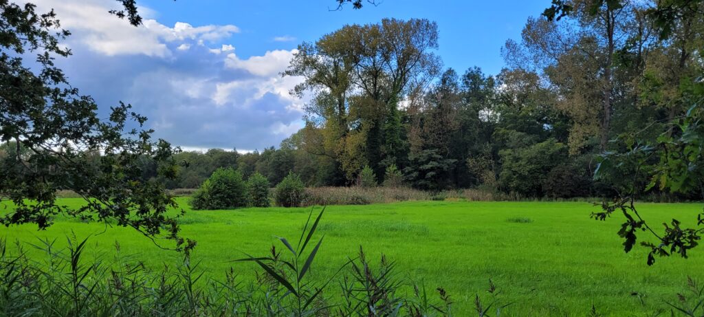 Natuurgebieden - Het Broek