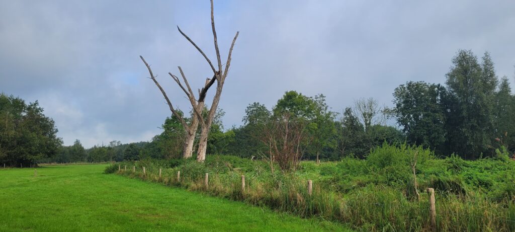 Natuurgebieden - Het Broek