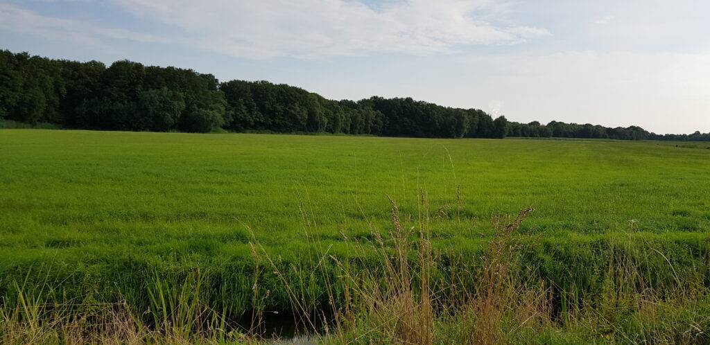 Natuurgebieden - Linie van den Hout