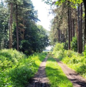 Natuurgebied, de Hooiberg