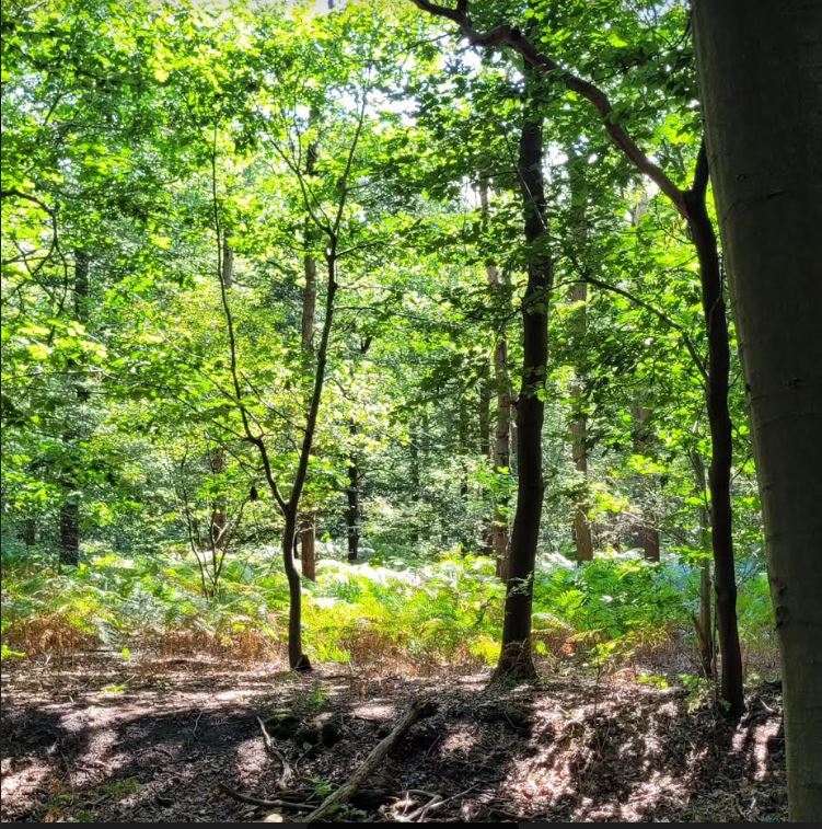 Natuurgebied, De Hooiberg